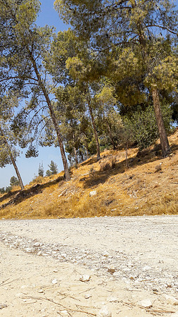 Track Outside Kibbutz Netiv Halamed Heh 4