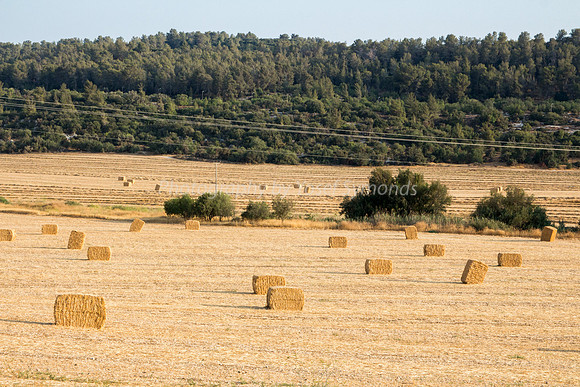 Haystacks Spread in Field 170721-24