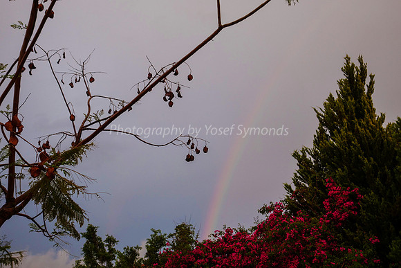 Ranibow 1604-2