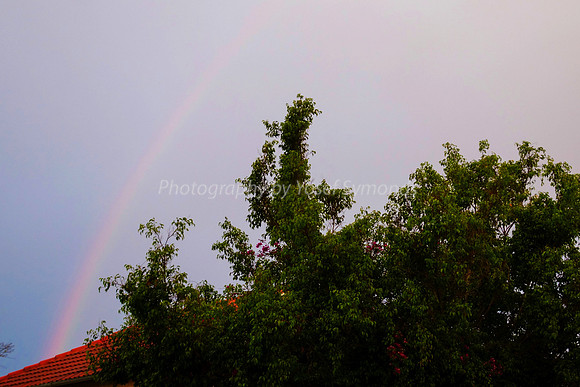 Ranibow 1604-3