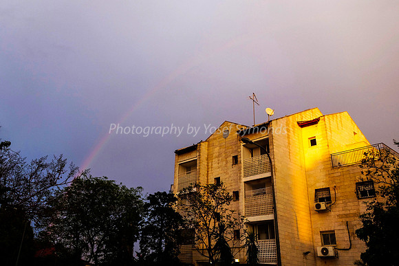Ranibow 1604-1