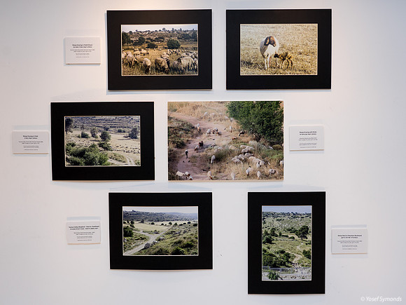 Set A - Pastoral Land 3