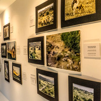 View Along Exhibition 200209-2