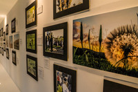View Along Exhibition 200209-4