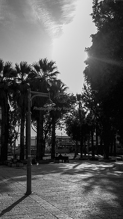 Ramle Park & Square