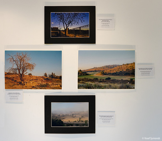 Set C - Evolving Landscape