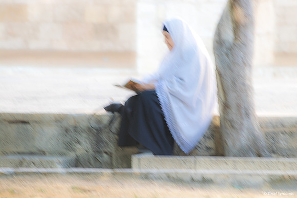 Arab Woman Reading 240605-1