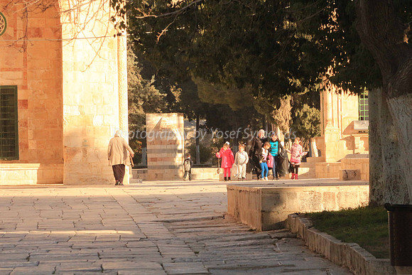 140209-HarHabayit-9756