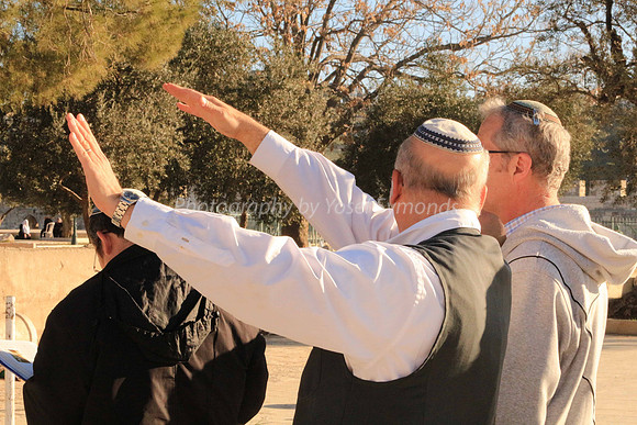 140209-HarHabayit-9784