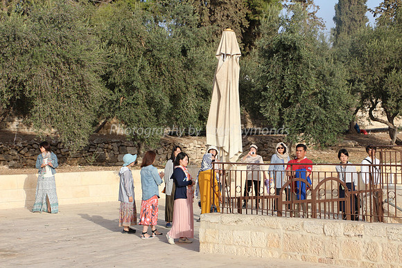 Tourists at Mercy Gate Railing
