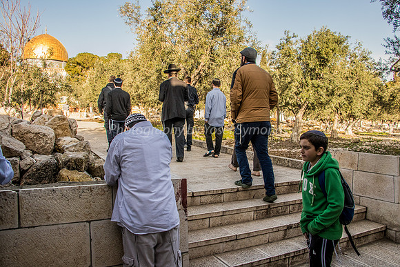 Looking Directly West Along Longitudinal Axis of The Temple 190313-1