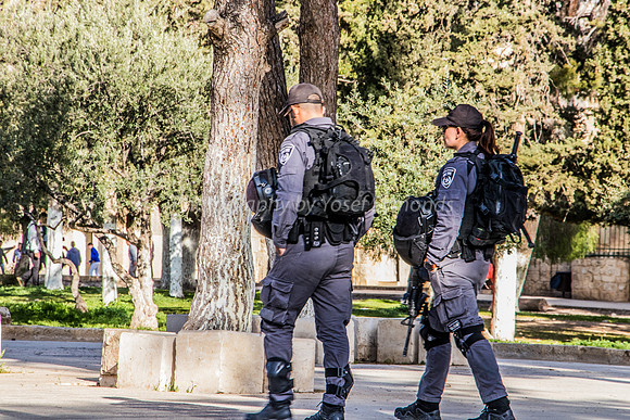 Police Moving West Along Northern Path 190313-1