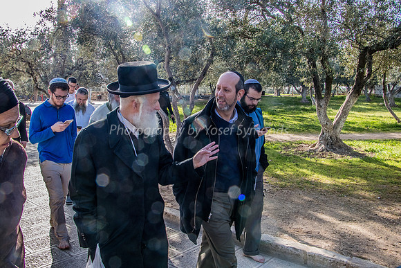 Rav Elboim 190313-13