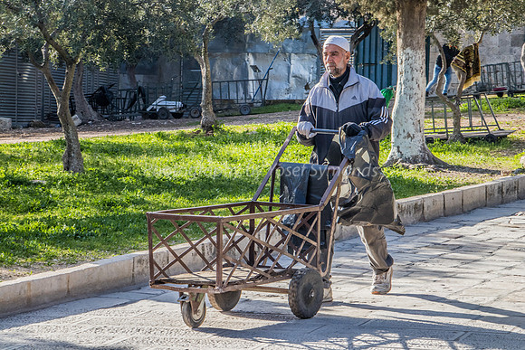 Worker and Cart 190313-1