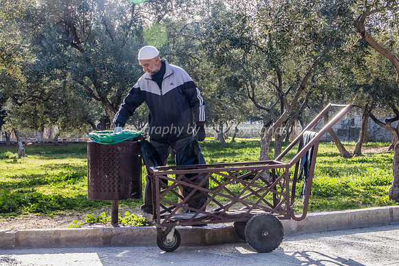 Worker and Cart 190313-2