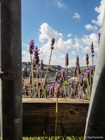 20190509_082144