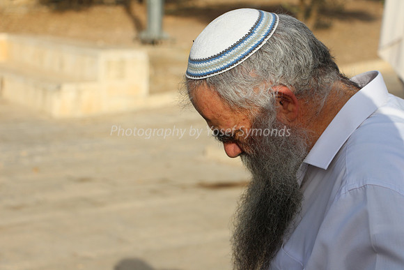 Rav Yitzchak Levy 3