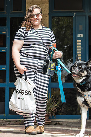 Zebra Color Coordination in This Family 240324-1