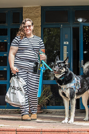 Zebra Color Coordination in This Family 240324-2