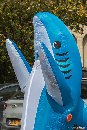 Shark Attack on Purim 240324-1