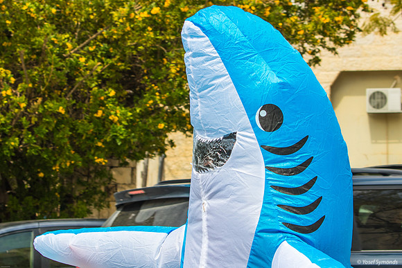 Shark Attack on Purim 240324-2
