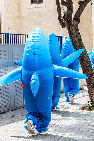 Shark Attack on Purim 240324-4