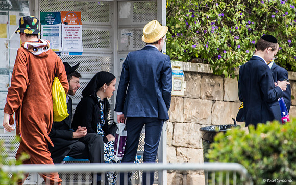 It's Going To Be a Long Wait for the Bus 240324-1