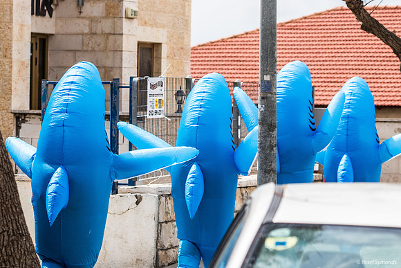 Shark Attack on Purim 240324-5