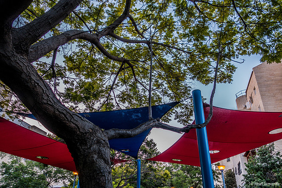 Playground Canopies on Maor Street 1