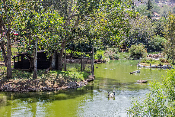 Biblical_Zoo_Jerusalem 180905-1