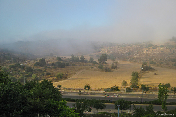 Misty Fields Opposite Hayarkon Boulevard RBSA 3 110622-1