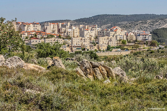 Beit Natif Tiyul 1