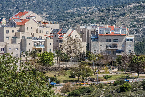 Beit Natif Tiyul 2