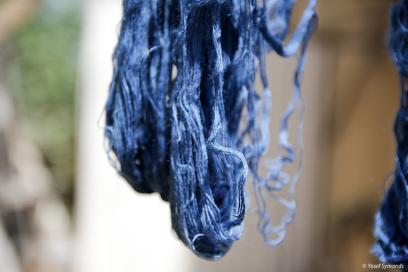 Techelet Blue Strings Drying after Coloration 5
