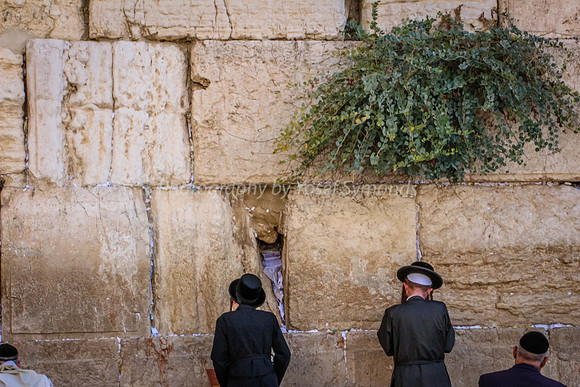Men Praying at Wall 150920-1