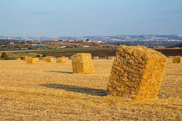 Haystacks in Field 170721-30