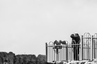 Photographer at Lookout 221107-2