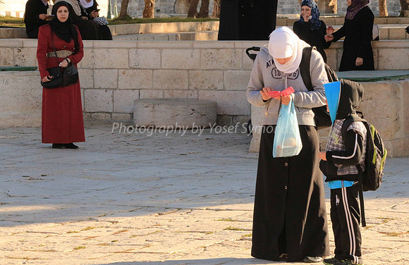 140209-HarHabayit-9774