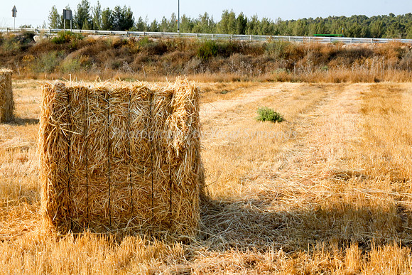 Haystacks in Field 170721-11