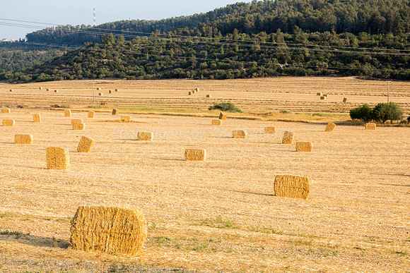 Haystacks Spread in Field 170721-23