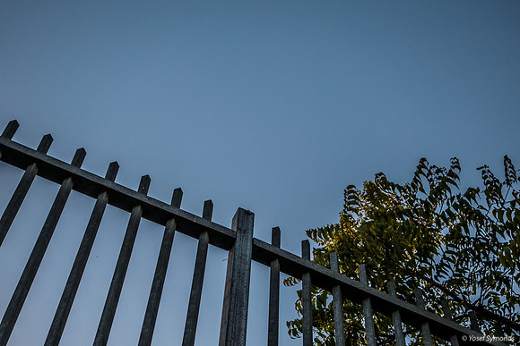 Fence Above Lane Wall 2