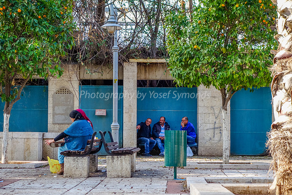 Ramle Park 4