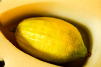 Etrog for Sale 1