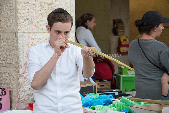Keen Lulav Seller 180920-5