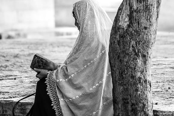 Arab Woman Reading 240605-4