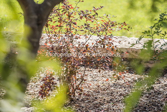 Depth of Field in Park 191107-2