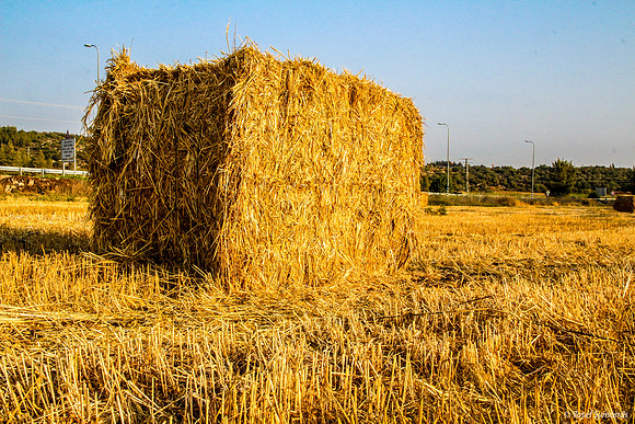 Haystack in Field 170721-14