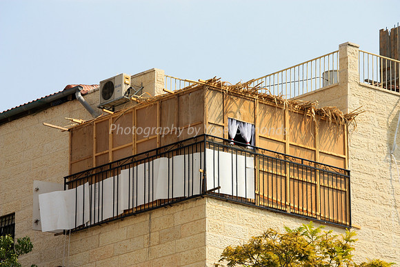 Bandaged Sukkah
