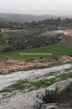 Mishkafayim 2013 Q1 Development 9999_10-11-11