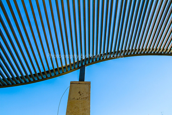 Undulating Pathway Cover - Park Ayalon - 21